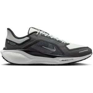 Chaussures de running Nike Pegasus 41 GORE-TEX Noir 39 FQ1356-002