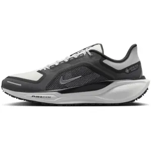Chaussures de running Nike Pegasus 41 GORE-TEX Noir 47 FQ1356-002