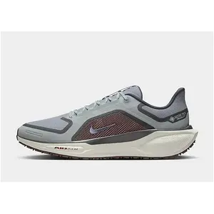 Nike Pegasus 41 Gore-Tex Chaussures homme Bleu 44.5