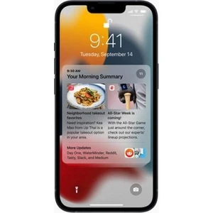 APPLE iPhone 13 (6.1" - 128 Go, 4 Go RAM) Noir pas cher