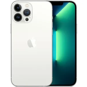 Apple iPhone 13 Pro Max 17 cm (6.7") Double SIM iOS 15 5G 256 Go Argent pas cher