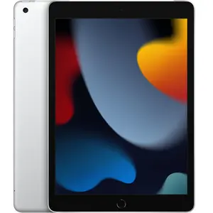 Apple iPad 10,2 256 Go [Wi-Fi + Cellulaire, modèle 2021] argent pas cher