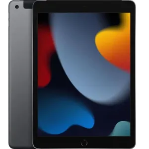 Apple - iPad (2021) - 10,2" WiFi + Cellulaire - 64 Go - Gris Sidéral pas cher