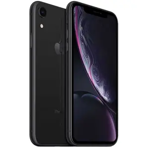 Apple iPhone XR 15,5 cm (6.1") Double SIM iOS 14 4G 64 Go Noir pas cher