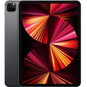 Apple iPad Pro 11" M1 - 2021 - Wi-Fi - 128 Go - Gris Sidéral pas cher