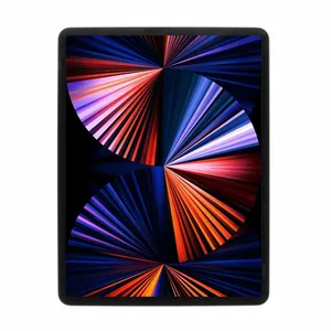 Apple iPad Pro 12,9" WiFi 2021 128Go gris sidéral pas cher