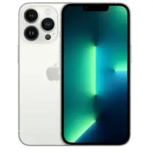 Apple iPhone 13 Pro 15,5 cm (6.1") Double SIM iOS 15 5G 512 Go Argent pas cher