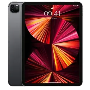 Apple iPad Pro 11" M1 - 2021 - Wi-Fi + Cellular - 2 To - Gris Sidéral pas cher