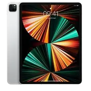 Apple iPad Pro 12,9 256 Go [Wifi + Cellular, modèle 2021] argent pas cher
