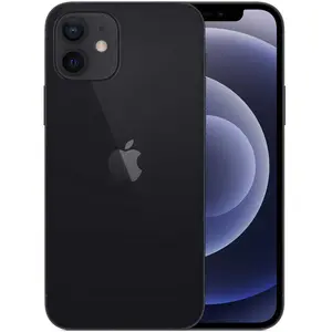 Apple iPhone 12 15,5 cm (6.1") Double SIM iOS 14 5G 256 Go Noir pas cher