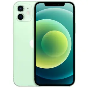 Apple iPhone 12 15,5 cm (6.1") Double SIM iOS 14 5G 64 Go Vert pas cher