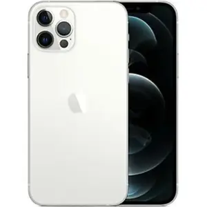Apple iPhone 12 Pro Max 256Go argent pas cher