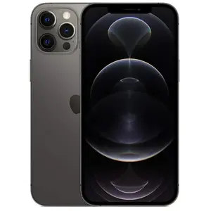 Apple iPhone 12 Pro Max 17 cm (6.7") Double SIM iOS 14 5G 256 Go Graphite pas cher