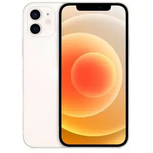 Apple iPhone 12 15,5 cm (6.1") Double SIM iOS 14 5G 64 Go Blanc pas cher