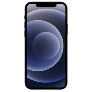 Apple iPhone 12 - 64 Go - Noir pas cher