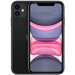 Apple iPhone 11 15,5 cm (6.1") Double SIM iOS 14 4G 64 Go Noir pas cher