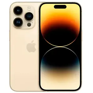 Apple iPhone 14 Pro 15,5 cm (6.1") Double SIM iOS 17 5G 128 Go Or pas cher