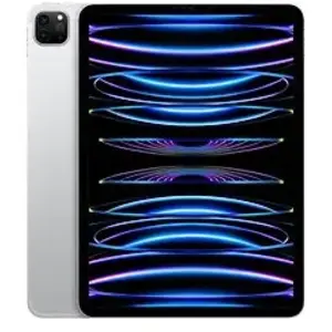 Apple iPad Pro 11 2 To [Wi-Fi + Cellulaire, modèle 2022] argent pas cher