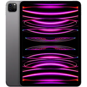 Apple Apple iPad Pro M2 (2022) 11" Wi-Fi + Cellular 1 To Gris sidéral pas cher