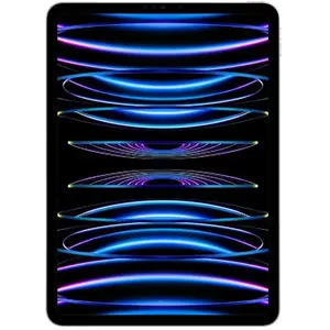 Apple iPad Pro 11" Puce Apple M2 1To Argent Wifi Cellular Fin 2022 pas cher