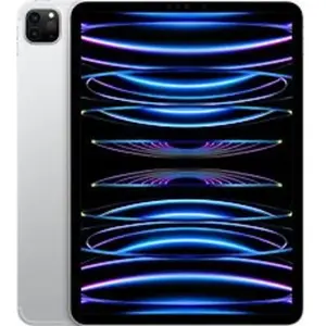 Apple iPad Pro 11 256 Go [Wi-Fi + Cellulaire, modèle 2022] argent pas cher