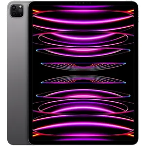 Apple iPad Pro 12,9" Puce Apple M2 256Go Gris Sidéral Wifi Fin 2022 pas cher