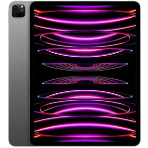 Apple iPad Pro 12,9" Puce Apple M2 128 Go Gris Sidéral Wifi Fin 2022 pas cher