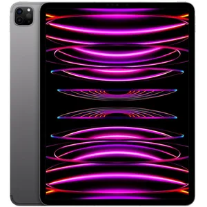Apple iPad Pro 12,9" Wi-Fi 2022 2To gris sidéral pas cher
