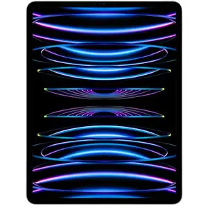 Apple iPad Pro 12,9 256 Go [Wi-Fi + Cellulaire, modèle 2022] argent pas cher