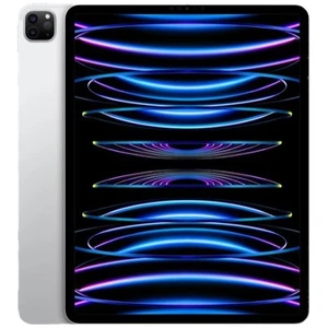 Tablette Apple iPad Pro 2022 12,9" 8 GB 512 GB Argenté TU pas cher