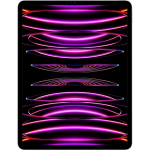 Apple iPad Pro 12,9" - 2022 - Wi-Fi + Cellular - 512 Go - Gris sidéral pas cher