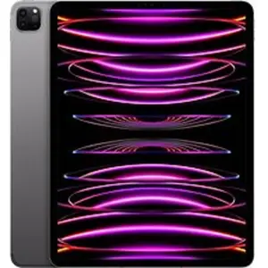 Apple ipad pro 12,9 wi-fi + cellular 2022 1to gris sidéral pas cher