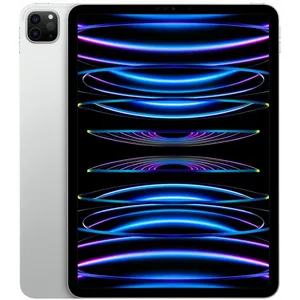 Apple ipad pro 11 wi-fi 2022 512go argent 0194253265887 pas cher