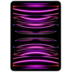 Apple ipad pro 11 wi-fi 2022 512go gris sidéral 0194253265610 pas cher