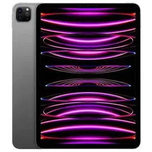 Apple iPad Pro 256 Go 27,9 cm (11") Apple M 8 Go Wi-Fi 6E (802.11ax) iPadOS 16 Gris pas cher