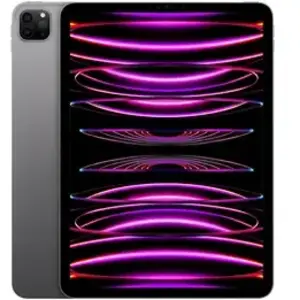 Apple iPad Pro 2021 (11-Pouces, Wi-FI, 128Go) - Gris Sidéral  (Reconditionné) : Amazon.fr: Informatique