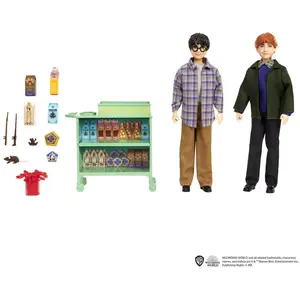 Comparateur de prix : Mattel Coffret Poupées Harry Potter : Harry Et Ron à bord du Poudlard Express