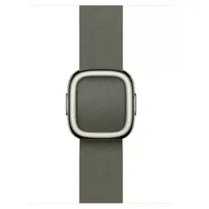 Comparateur de prix : Bracelet APPLE 42 mm - Medium Boucle moderne gris sauge