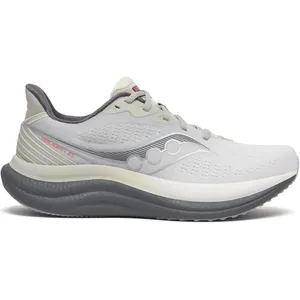 Chaussures Saucony Triumph 23 Gris Beige AW25, Taille 42 - EUR pas cher
