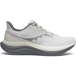 Chaussures Saucony Triumph 23 Gris Beige AW25, Taille 43 - EUR pas cher