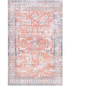ARIZONA - Tapis d'intérieur Traditionnel Safavieh pas cher