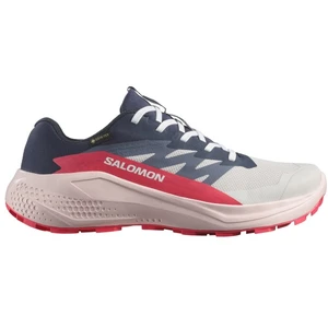 Salomon Chaussures De Trail Running Alphaglide Goretex pas cher