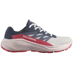 Salomon Chaussures De Trail Running Alphaglide Gore-tex® pas cher