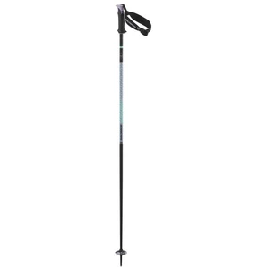 Salomon Bâtons Polar Pro S3 pas cher