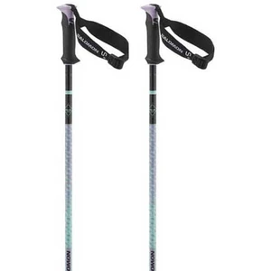 Salomon Bâtons Polar Pro S3 pas cher