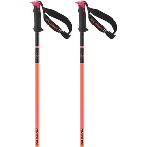 Salomon Bâtons Polar Pro S3 pas cher