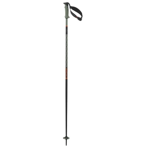 Salomon Bâtons Polar Pro S3 pas cher