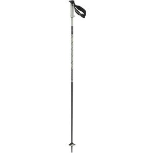 Salomon Bâtons Polar Pro S3 pas cher