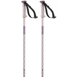 Salomon Bâtons Polar pas cher
