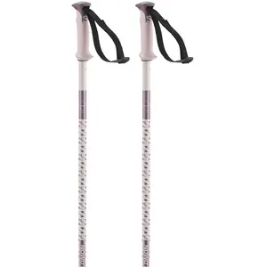 Salomon Bâtons Polar
